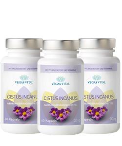 Cistus Incanus | Capsules | Pack 3